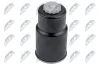 Kraftstofffilter NTY FFF-MZ-051 Bild Kraftstofffilter NTY FFF-MZ-051