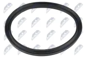Dichtring, Ladeluftschlauch NTY GPP-BM-232