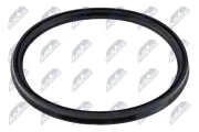 Dichtring, Ladeluftschlauch NTY GPP-RE-142