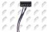 Sensor, Raddrehzahl Hinterachse links Hinterachse rechts NTY HCA-AU-012 Bild Sensor, Raddrehzahl Hinterachse links Hinterachse rechts NTY HCA-AU-012