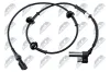 Sensor, Raddrehzahl Vorderachse rechts NTY HCA-FR-041 Bild Sensor, Raddrehzahl Vorderachse rechts NTY HCA-FR-041