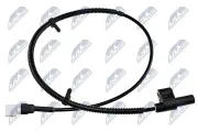 Sensor, Raddrehzahl Hinterachse links Hinterachse rechts NTY HCA-FR-049