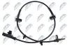 Sensor, Raddrehzahl Vorderachse links Vorderachse rechts NTY HCA-FR-066 Bild Sensor, Raddrehzahl Vorderachse links Vorderachse rechts NTY HCA-FR-066