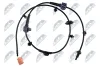Sensor, Raddrehzahl Vorderachse rechts NTY HCA-HD-019 Bild Sensor, Raddrehzahl Vorderachse rechts NTY HCA-HD-019