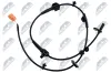 Sensor, Raddrehzahl Vorderachse links NTY HCA-HD-088 Bild Sensor, Raddrehzahl Vorderachse links NTY HCA-HD-088