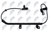 Sensor, Raddrehzahl Hinterachse rechts NTY HCA-NS-056 Bild Sensor, Raddrehzahl Hinterachse rechts NTY HCA-NS-056