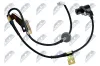 Sensor, Raddrehzahl Vorderachse rechts NTY HCA-SU-025