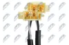 Sensor, Raddrehzahl Hinterachse links Hinterachse rechts NTY HCA-VV-008 Bild Sensor, Raddrehzahl Hinterachse links Hinterachse rechts NTY HCA-VV-008