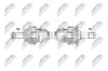 Antriebswelle Hinterachse links NTY NPW-BM-223 Bild Antriebswelle Hinterachse links NTY NPW-BM-223