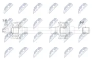 Antriebswelle Hinterachse rechts NTY NPW-BM-239