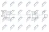 Antriebswelle Hinterachse links NTY NPW-BM-241 Bild Antriebswelle Hinterachse links NTY NPW-BM-241