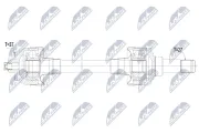 Antriebswelle Hinterachse rechts NTY NPW-BM-242