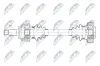 Antriebswelle Hinterachse links Hinterachse rechts NTY NPW-BM-268 Bild Antriebswelle Hinterachse links Hinterachse rechts NTY NPW-BM-268