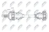 Antriebswelle Hinterachse rechts NTY NPW-BM-271 Bild Antriebswelle Hinterachse rechts NTY NPW-BM-271