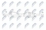 Antriebswelle Vorderachse rechts NTY NPW-CT-160