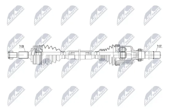 Antriebswelle Vorderachse rechts NTY NPW-CT-209 Bild Antriebswelle Vorderachse rechts NTY NPW-CT-209