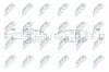 Antriebswelle Hinterachse links Hinterachse rechts NTY NPW-FR-212