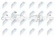 Antriebswelle Hinterachse links NTY NPW-FR-224