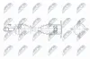 Antriebswelle Hinterachse rechts NTY NPW-FT-093 Bild Antriebswelle Hinterachse rechts NTY NPW-FT-093