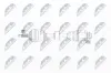 Antriebswelle Vorderachse rechts NTY NPW-HD-033 Bild Antriebswelle Vorderachse rechts NTY NPW-HD-033