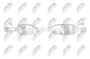 Antriebswelle Hinterachse NTY NPW-HD-158