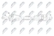 Antriebswelle Vorderachse rechts NTY NPW-HY-649