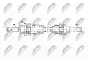 Antriebswelle Hinterachse rechts NTY NPW-JG-006