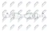 Antriebswelle Hinterachse links Hinterachse rechts NTY NPW-LR-053 Bild Antriebswelle Hinterachse links Hinterachse rechts NTY NPW-LR-053