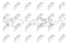 Antriebswelle Vorderachse rechts NTY NPW-ME-168 Bild Antriebswelle Vorderachse rechts NTY NPW-ME-168