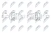 Antriebswelle Hinterachse links Hinterachse rechts NTY NPW-ME-227 Bild Antriebswelle Hinterachse links Hinterachse rechts NTY NPW-ME-227