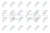 Antriebswelle Hinterachse links Hinterachse rechts NTY NPW-ME-247 Bild Antriebswelle Hinterachse links Hinterachse rechts NTY NPW-ME-247
