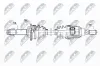 Antriebswelle Hinterachse links Hinterachse rechts NTY NPW-NS-166