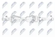 Antriebswelle Vorderachse links Vorderachse Vorderachse NTY NPW-PL-041