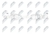 Antriebswelle Vorderachse links NTY NPW-PE-136