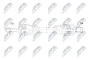 Antriebswelle Vorderachse rechts NTY NPW-PE-137