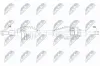 Antriebswelle Vorderachse links NTY NPW-PL-177 Bild Antriebswelle Vorderachse links NTY NPW-PL-177