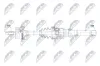 Antriebswelle Hinterachse rechts NTY NPW-PL-190 Bild Antriebswelle Hinterachse rechts NTY NPW-PL-190