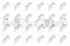 Antriebswelle Vorderachse rechts NTY NPW-RE-101 Bild Antriebswelle Vorderachse rechts NTY NPW-RE-101