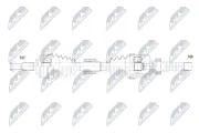 Antriebswelle Vorderachse rechts NTY NPW-RE-262