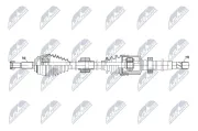 Antriebswelle Vorderachse rechts NTY NPW-RE-296
