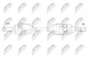 Antriebswelle Vorderachse links Vorderachse rechts NTY NPW-SB-043 Bild Antriebswelle Vorderachse links Vorderachse rechts NTY NPW-SB-043