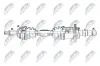 Antriebswelle Vorderachse rechts NTY NPW-TY-210 Bild Antriebswelle Vorderachse rechts NTY NPW-TY-210