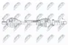 Antriebswelle Vorderachse rechts NTY NPW-VV-051 Bild Antriebswelle Vorderachse rechts NTY NPW-VV-051