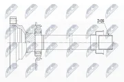 Steckwelle, Differential Vorderachse rechts NTY NPW-WW-004R1