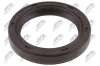 Wellendichtring, Kurbelwelle vorne NTY NUP-PL-006