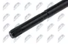 Zwischenwelle Vorderachse links NTY NWP-NS-009 Bild Zwischenwelle Vorderachse links NTY NWP-NS-009