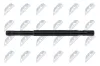 Gelenkwelle, Achsantrieb NTY NWP-VW-002 Bild Gelenkwelle, Achsantrieb NTY NWP-VW-002