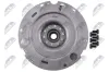 Schwungrad NTY NZS-AU-006D