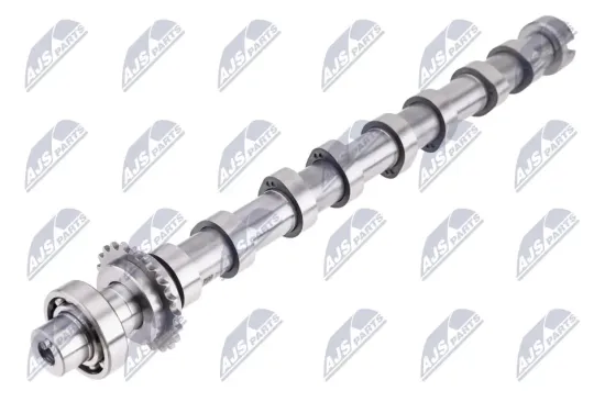 Nockenwelle Auslassseite NTY RKZ-CT-004 Bild Nockenwelle Auslassseite NTY RKZ-CT-004