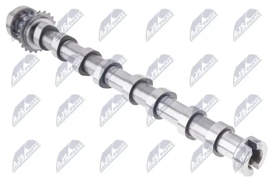 Nockenwelle Auslassseite NTY RKZ-CT-004 Bild Nockenwelle Auslassseite NTY RKZ-CT-004